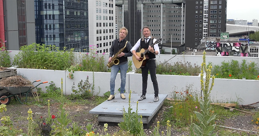 Stain Music Live op het dak